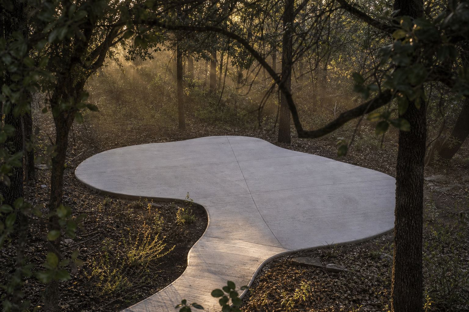Organic-shaped concrete patio in a wooded yard at dawn