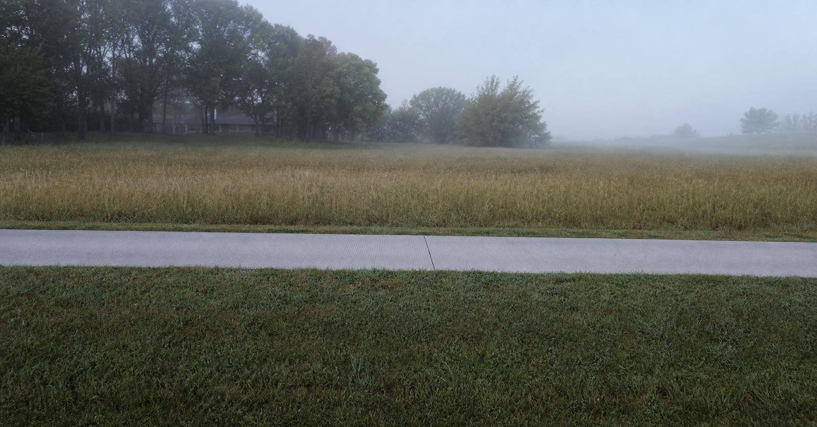 Concrete driveway crossing a foggy semi-rural residential lot